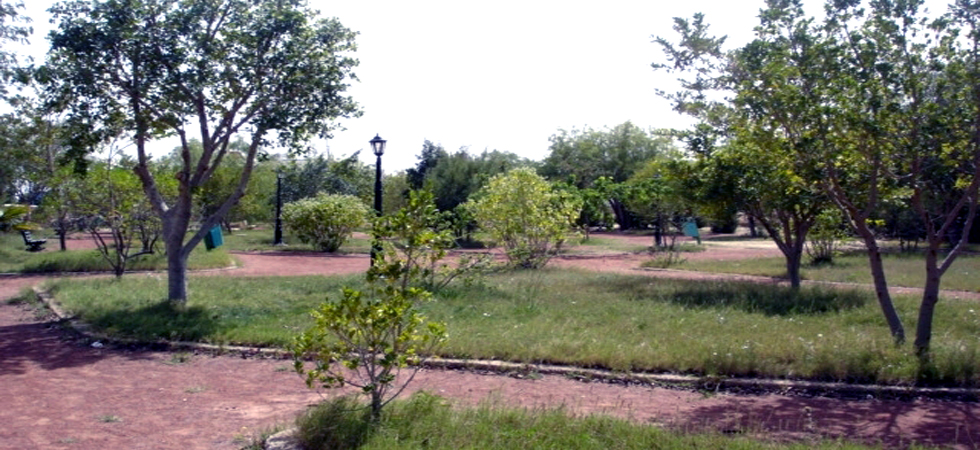jardin60ED0A81-2F7E-34FB-C70B-DE914065FB42.jpg